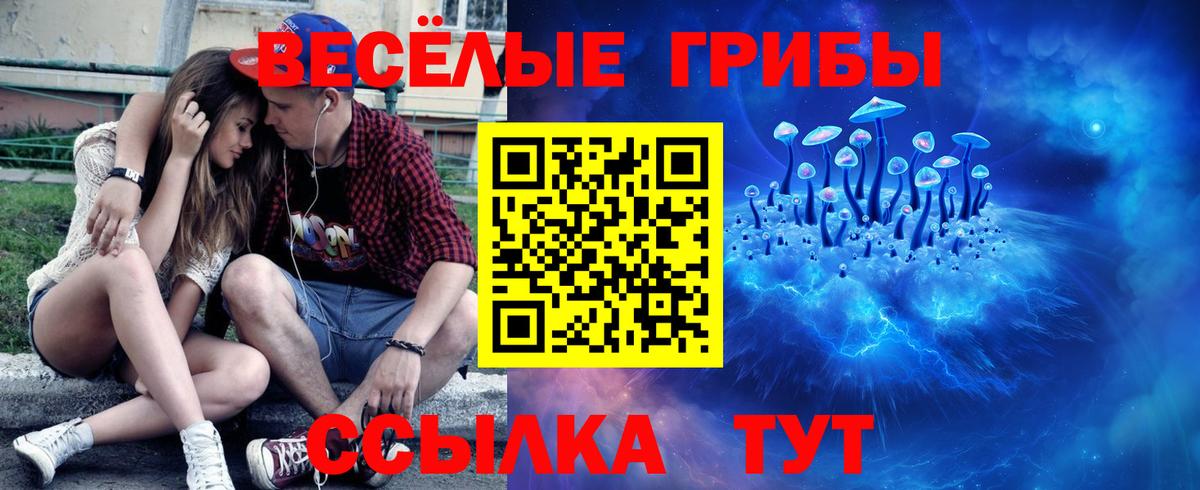 Псилоцибиновые грибы GOLDEN TEACHER  купить наркотики сайты  Курчалой  Вход с VPN 