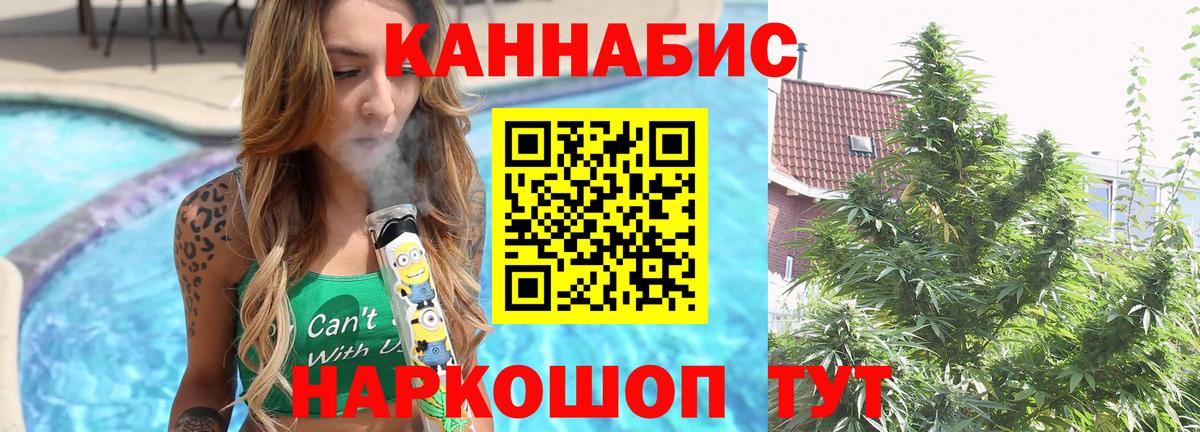 Конопля гибрид  Канабис планчик  Курчалой  Марихуана тримм  Вход с VPN 